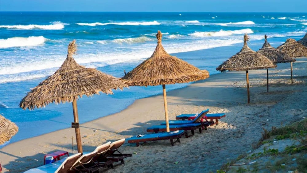 Serene waves, golden sands, and the gentle shade